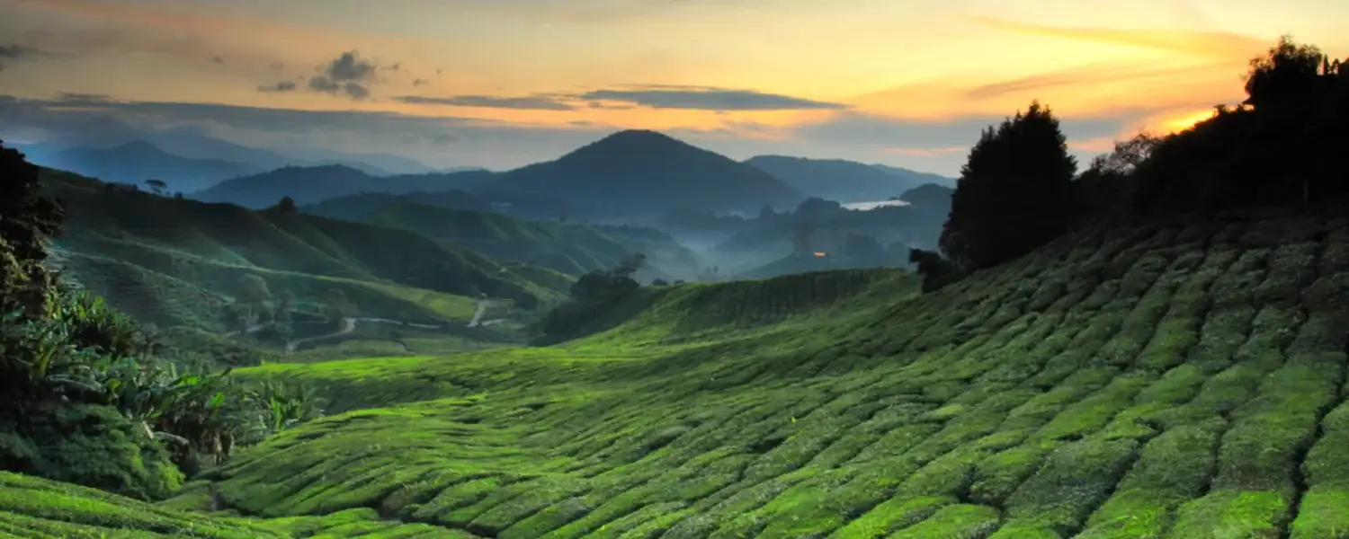 Malaysia An Experience Like No Other-1